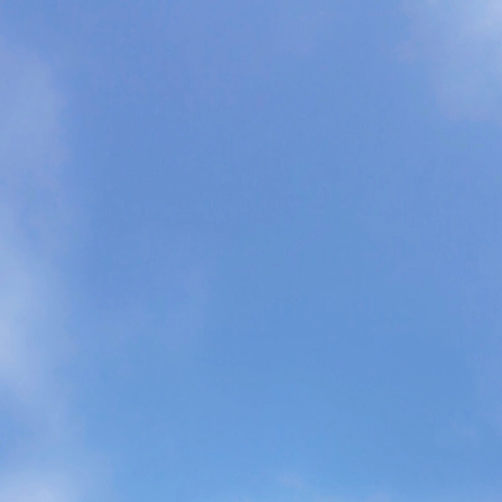 Meet your Posher, Hudson